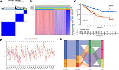 Comprehensive analysis of 7-methylguanosine and immune microenvironment characteristics in clear cell renal cell carcinomas